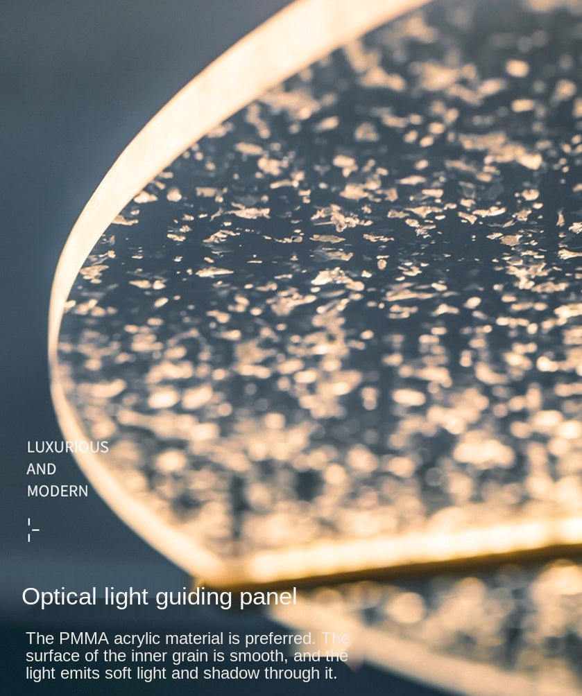 Ceiling Lights Modern LED Porch Iron Art Acrylic Ceiling Lights