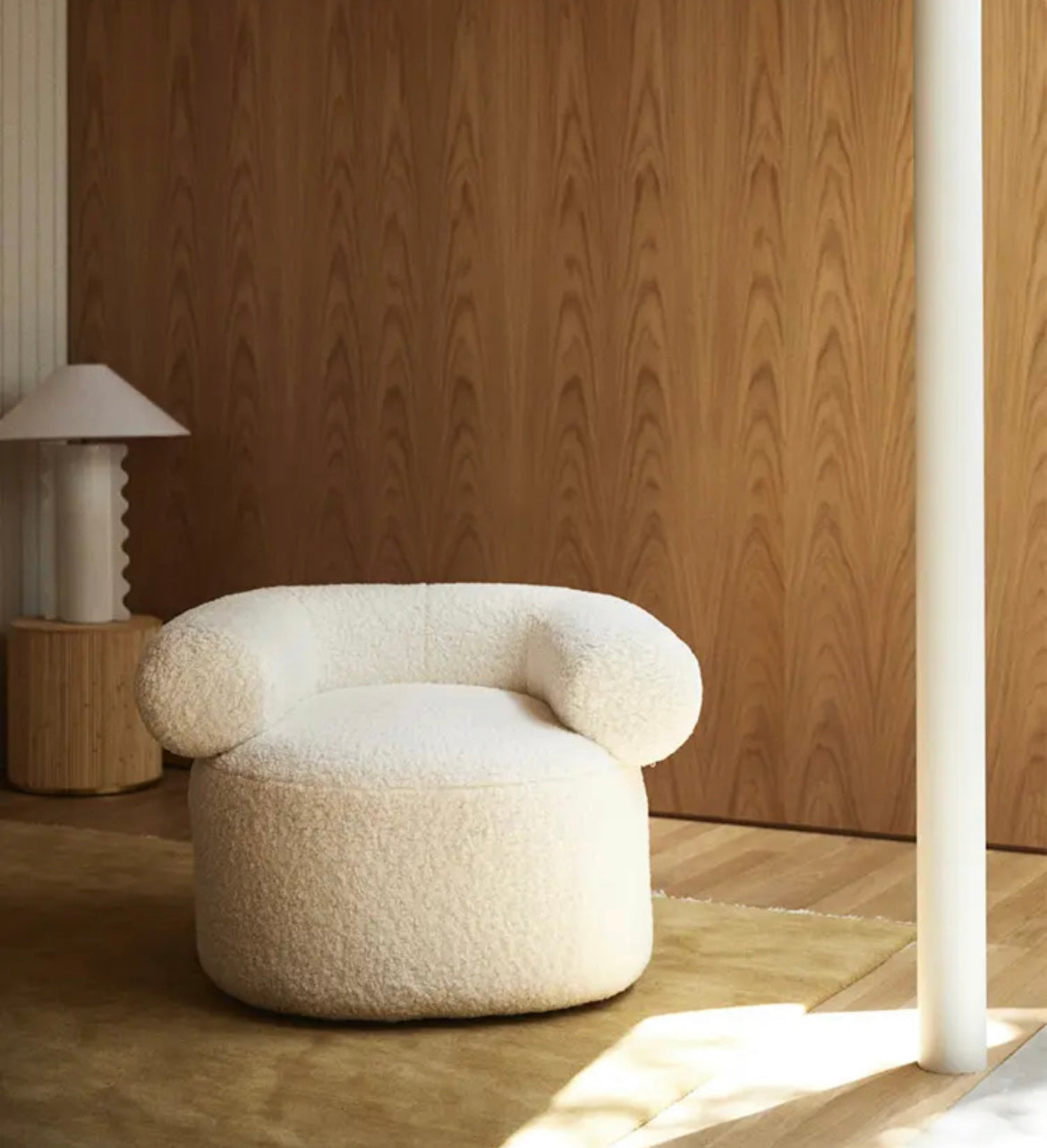 Canapé chaise design salon velours canapé chaises